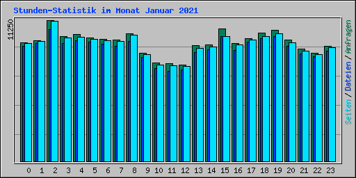 Stunden-Statistik im Monat Januar 2021