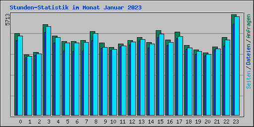 Stunden-Statistik im Monat Januar 2023