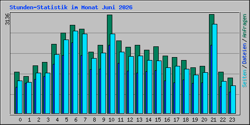 Stunden-Statistik im Monat Juni 2026