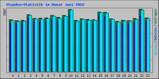 Stunden-Statistik im Monat Juni 2022
