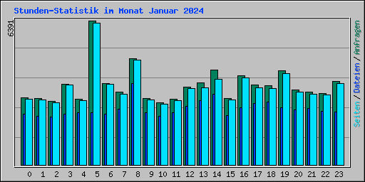 Stunden-Statistik im Monat Januar 2024