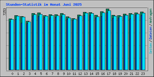 Stunden-Statistik im Monat Juni 2025