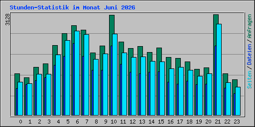 Stunden-Statistik im Monat Juni 2026