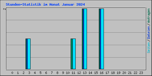 Stunden-Statistik im Monat Januar 2024