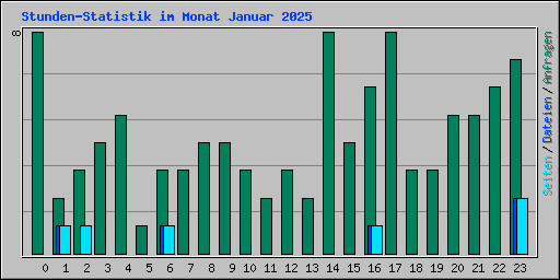 Stunden-Statistik im Monat Januar 2025