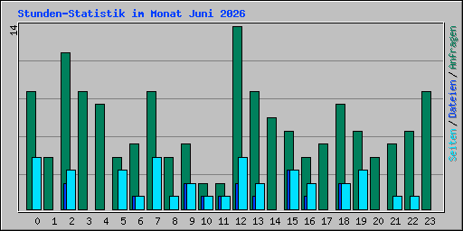 Stunden-Statistik im Monat Juni 2026